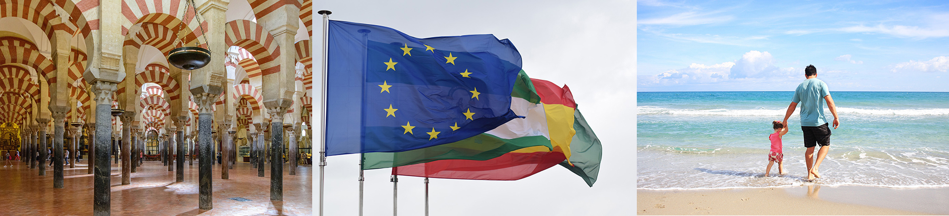 Viviendas de Uso Turístico